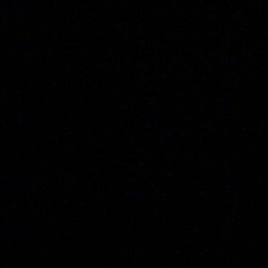 Meet your Posher, Bridgette